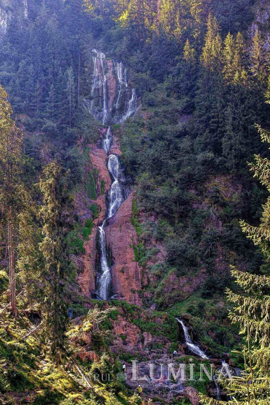 Sclipirile Luminii 283069