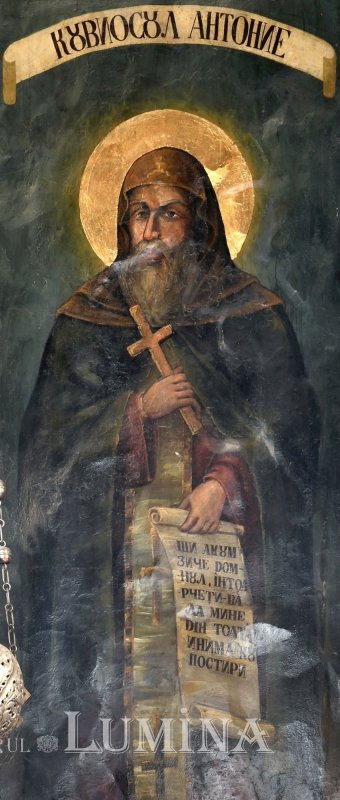 Sclipirile Luminii 283811