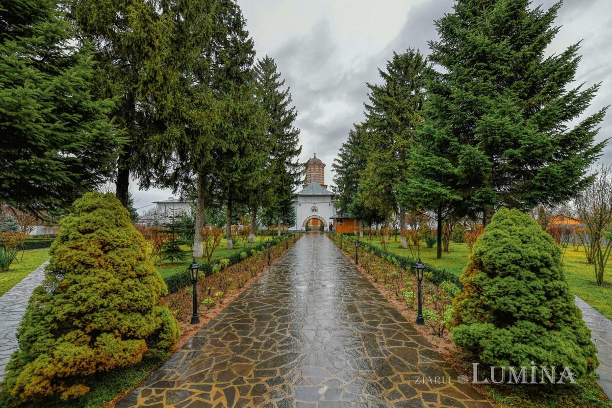 Sclipirile Luminii 284366