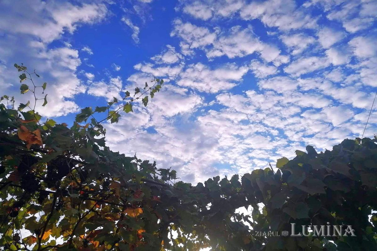 Iertarea de vrăjmași - o atitudine dumnezeiască 266654