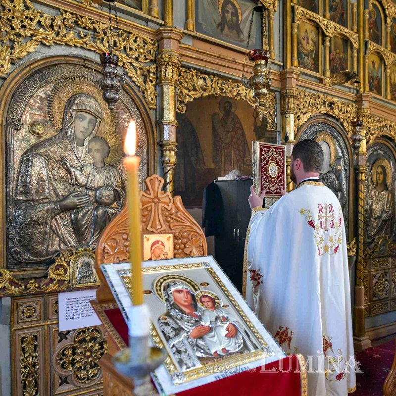 Ziua dezrobirii romilor marcată într‑o comunitate a lor din Ilfov 286618