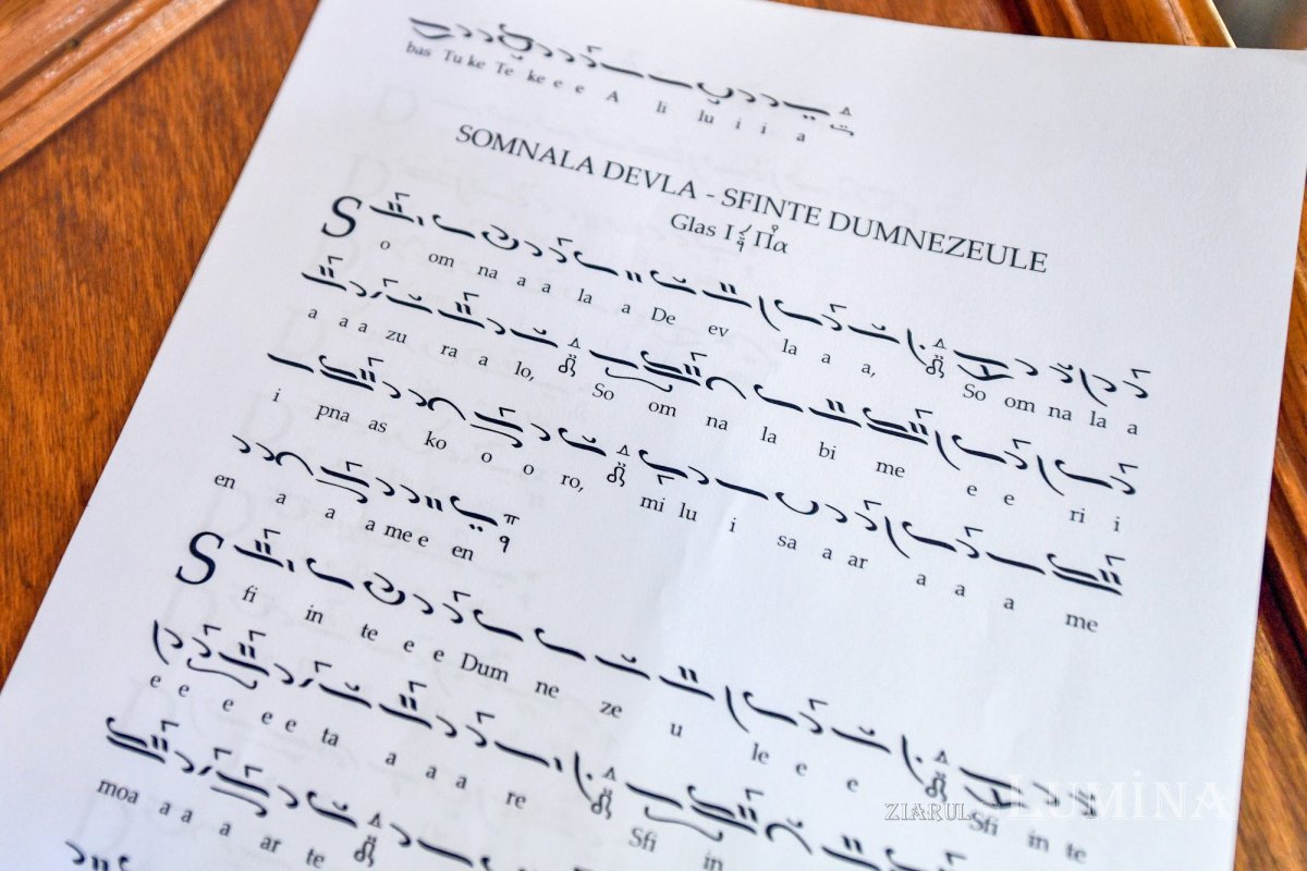 Ziua dezrobirii romilor marcată într‑o comunitate a lor din Ilfov 286622