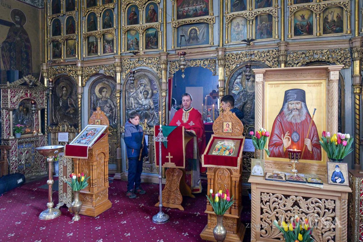 Ziua dezrobirii romilor marcată într‑o comunitate a lor din Ilfov 286623