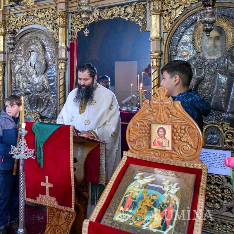 Ziua dezrobirii romilor marcată într‑o comunitate a lor din Ilfov 286624