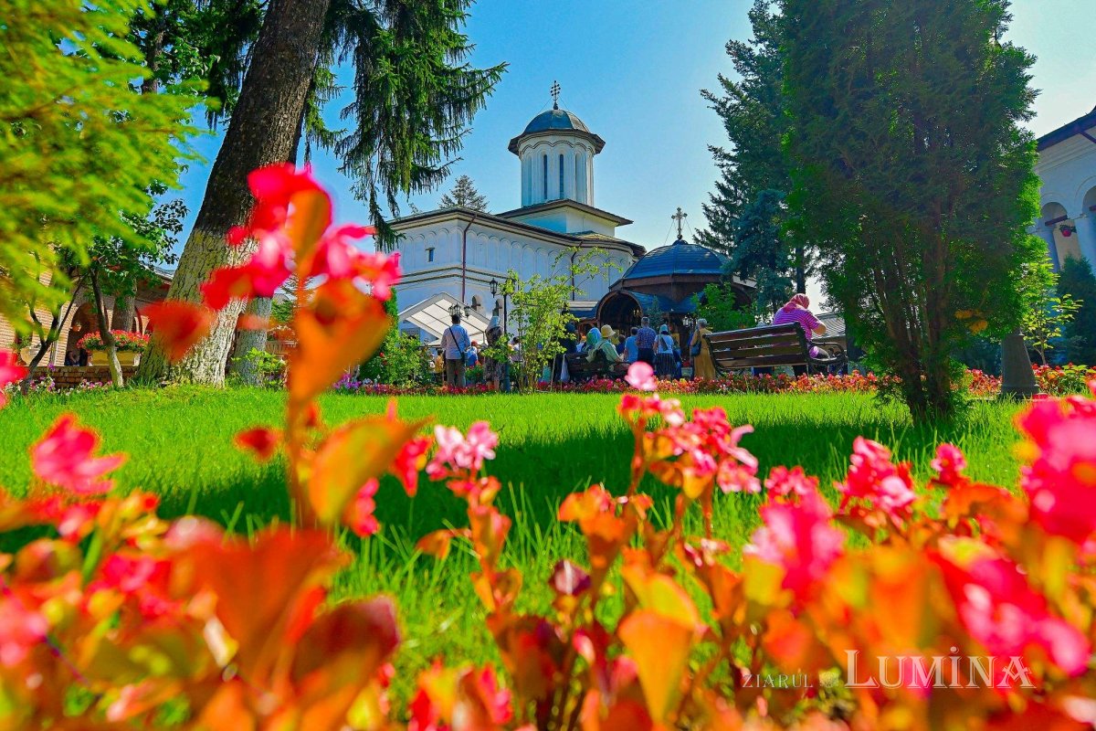 Sclipirile Luminii 287380