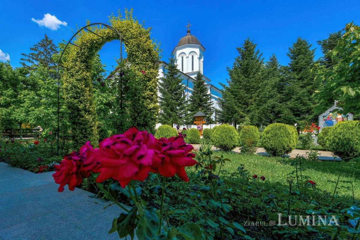 Sclipirile Luminii 287381