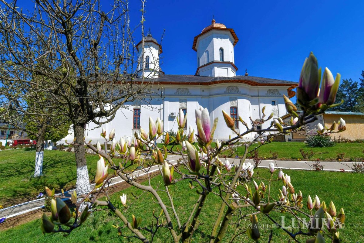 Sclipirile Luminii 287384