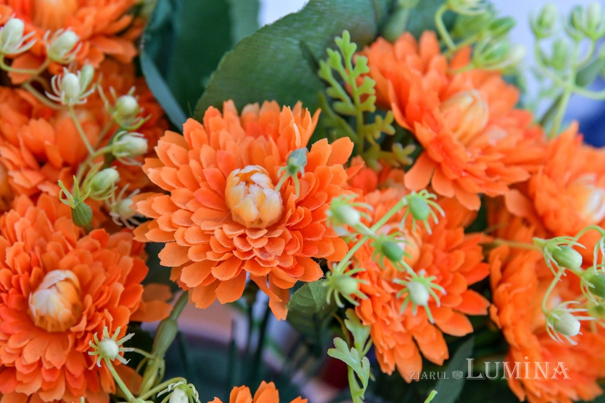 Copiii de la Grădinița Patriarhiei Române și‑au sărbătorit mamele 288017