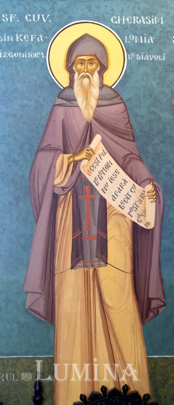 „Sufletul nu se tratează cu pastile” 288670