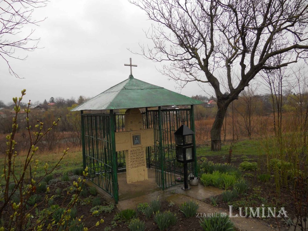 Un pelerinaj de demult al Sfântului Dimitrie cel Nou 289244