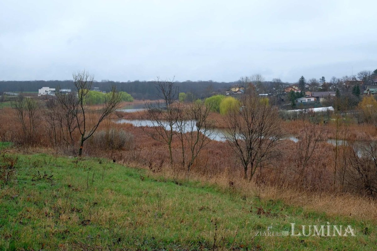 Un pelerinaj de demult al Sfântului Dimitrie cel Nou 289248