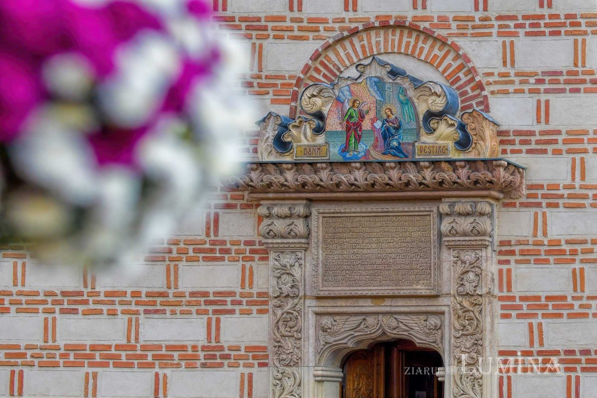 Sclipirile Luminii 290059