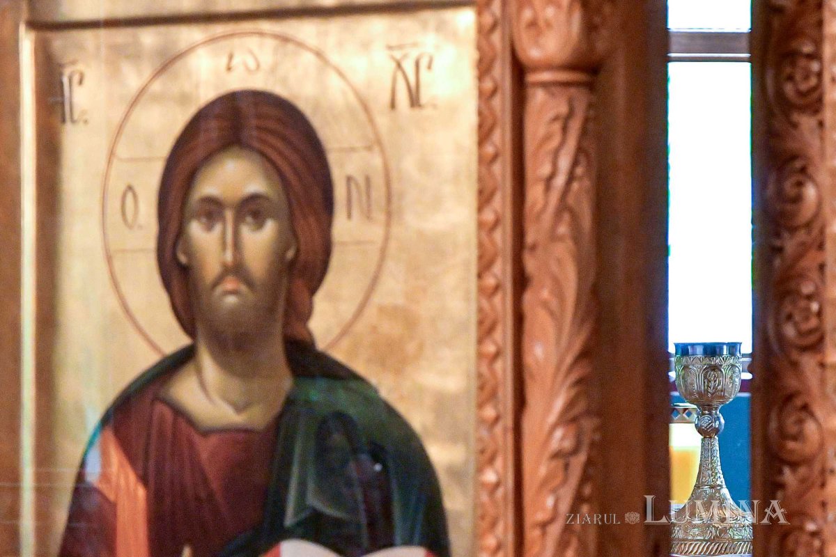 Sclipirile Luminii 290060