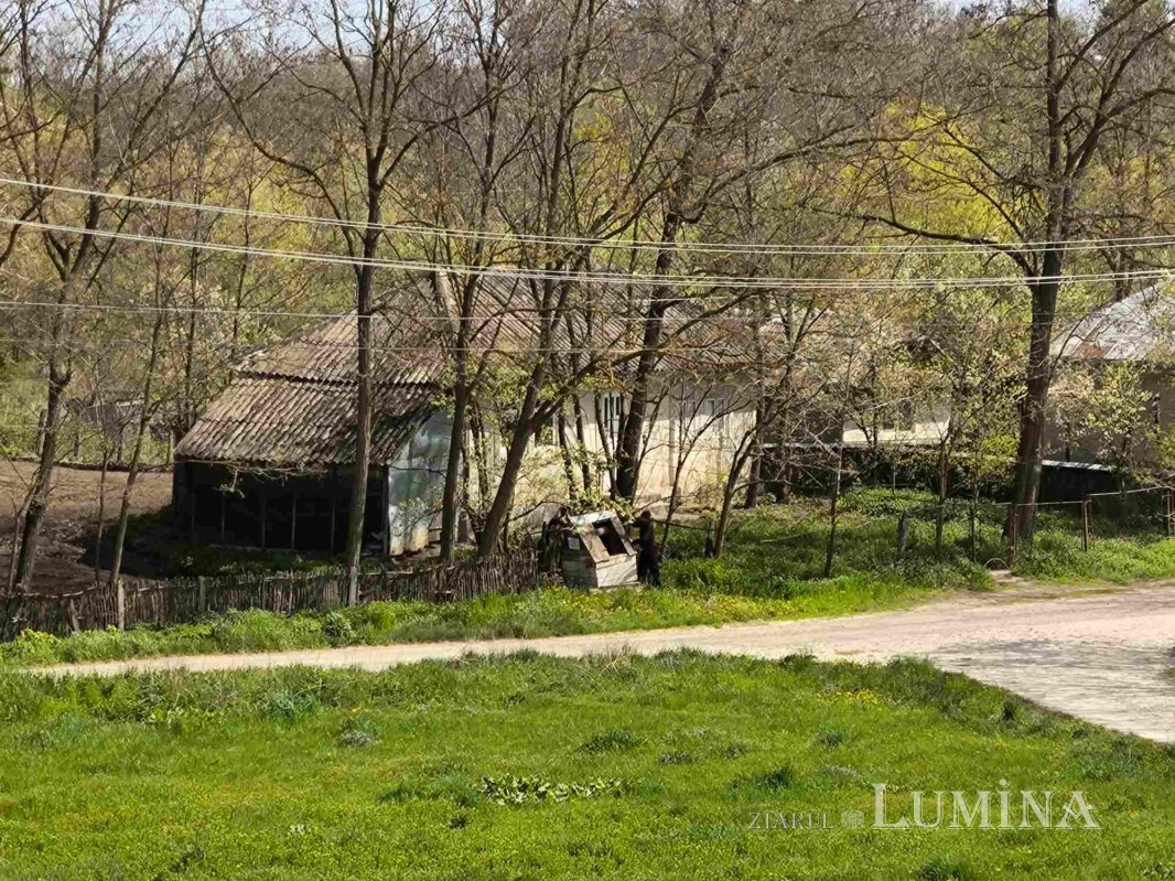 Miorcanii familiei Pillat, o lume a Prutului și a bătrâneții  293100