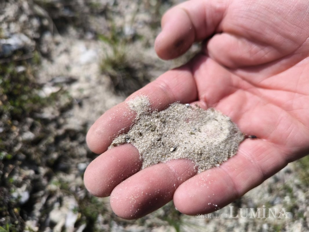 Miorcanii familiei Pillat, o lume a Prutului și a bătrâneții  293114