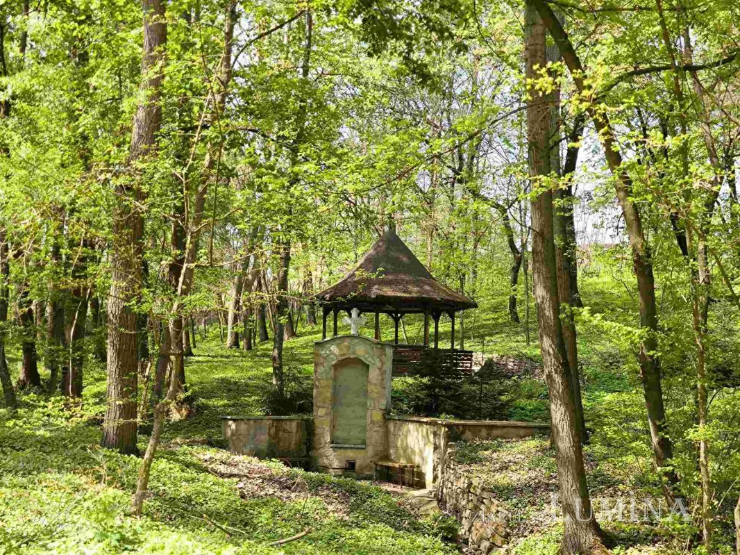 Miorcanii familiei Pillat, o lume a Prutului și a bătrâneții  293115