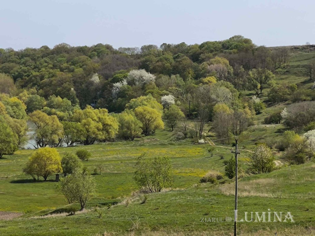 Miorcanii familiei Pillat, o lume a Prutului și a bătrâneții  293117