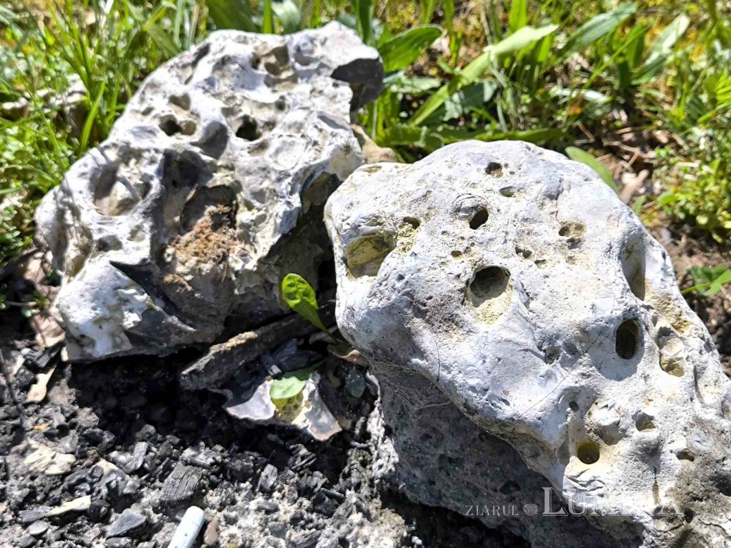 Miorcanii familiei Pillat, o lume a Prutului și a bătrâneții  293120