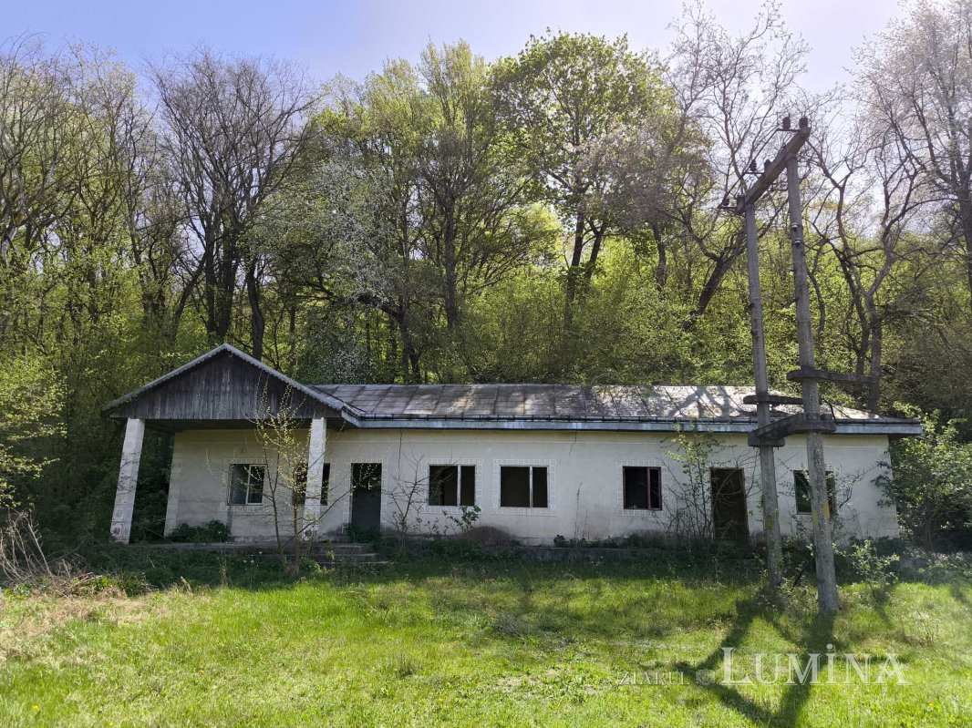 Miorcanii familiei Pillat, o lume a Prutului și a bătrâneții  293125