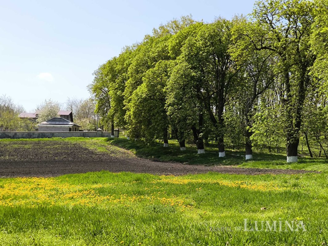 Miorcanii familiei Pillat, o lume a Prutului și a bătrâneții  293126