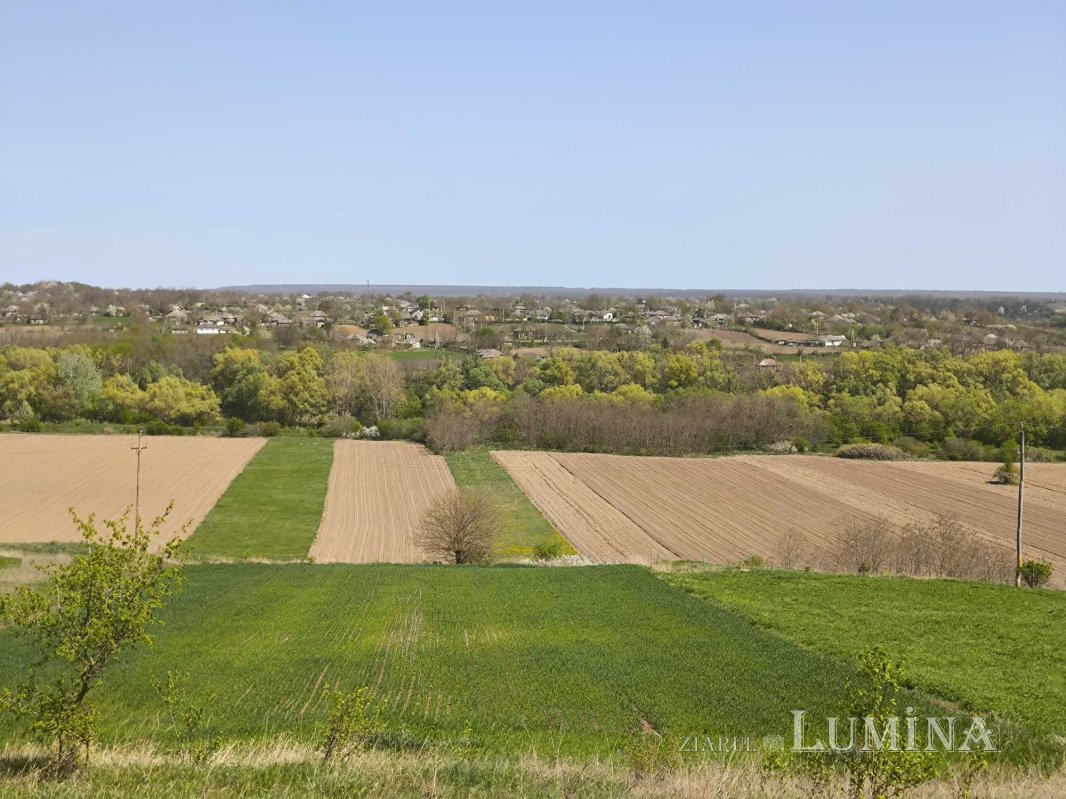 Miorcanii familiei Pillat, o lume a Prutului și a bătrâneții  293127