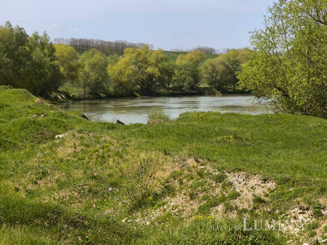 Miorcanii familiei Pillat, o lume a Prutului și a bătrâneții  293129