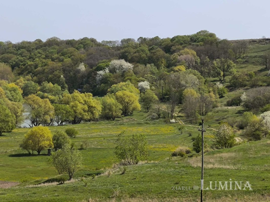 Miorcanii familiei Pillat, o lume a Prutului și a bătrâneții  293134