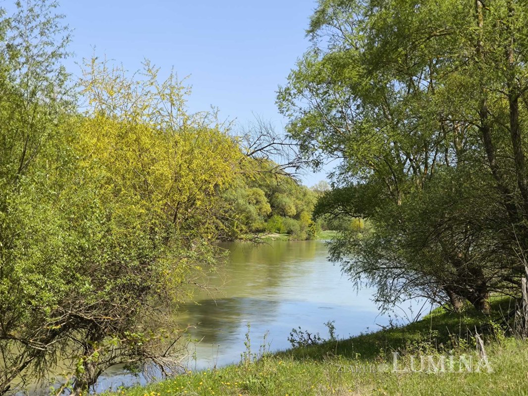 Miorcanii familiei Pillat, o lume a Prutului și a bătrâneții  293136