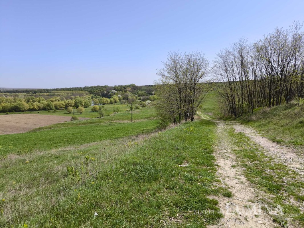 Miorcanii familiei Pillat, o lume a Prutului și a bătrâneții  293137