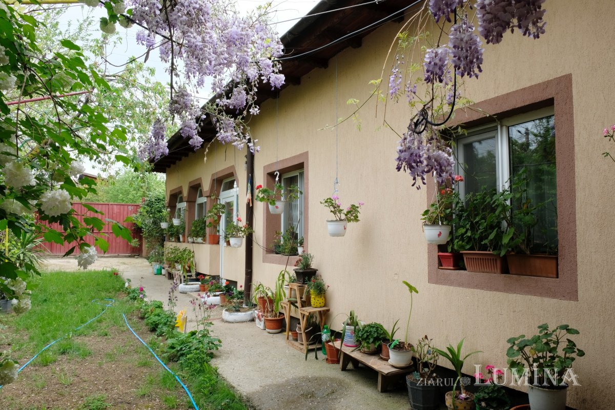 Bucuria descoperirii binelui și învierii prin suferință 297553