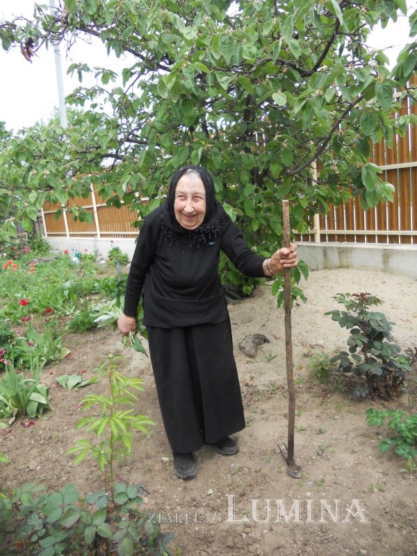 Bucuria descoperirii binelui și învierii prin suferință 297563