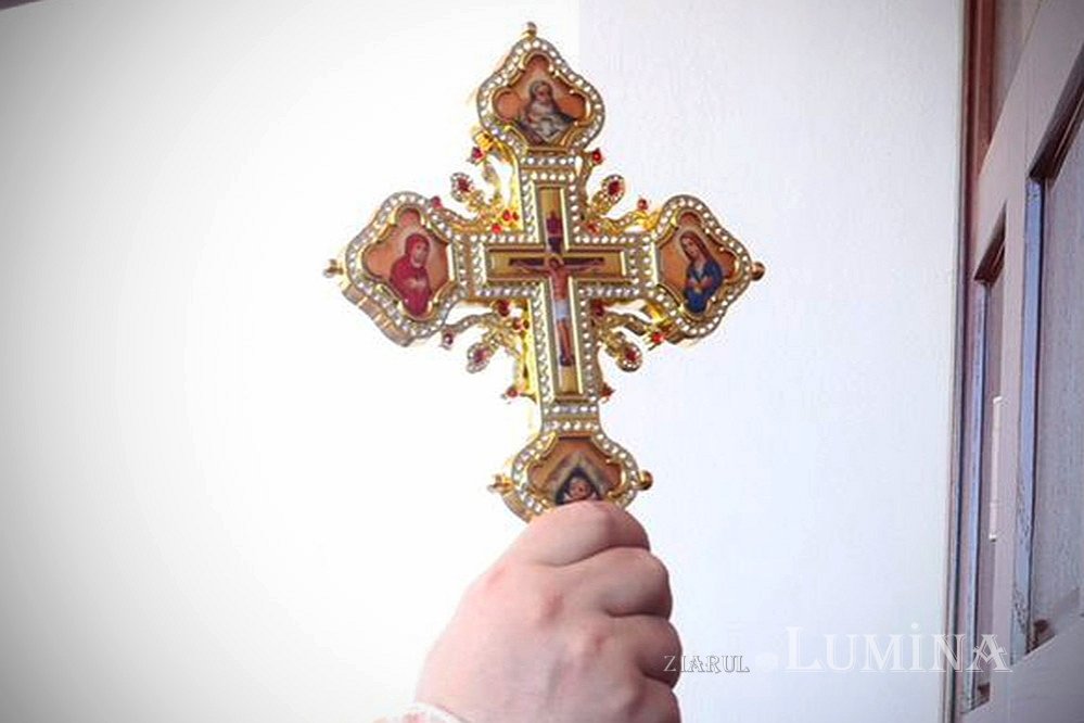 Vița este viața mlădițelor 300219