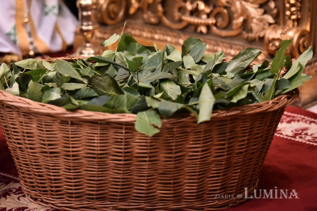 Ramuri binecuvântate pentru credincioși din Capitală 300684