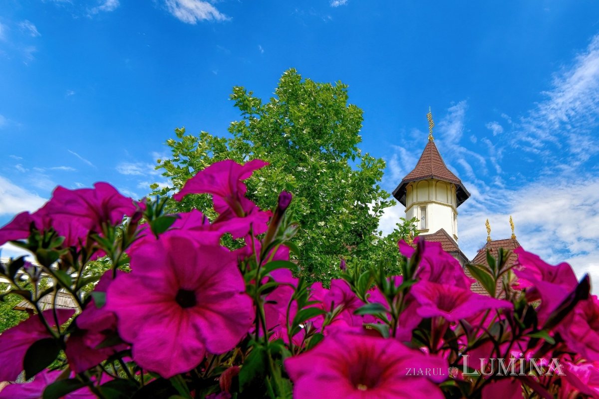 Sclipirile Luminii: Paraclisul Catedralei Mântuirii Neamului 302682