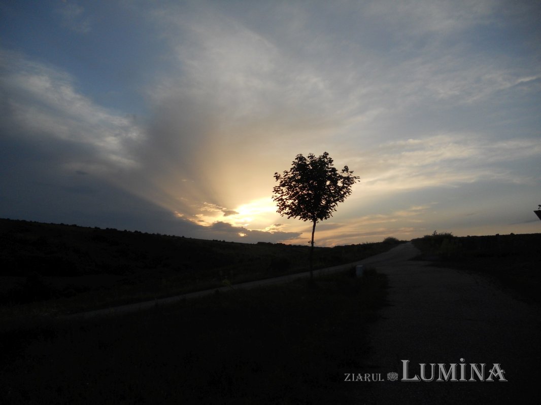 Istorie și duh la Mănăstirea Cantemirilor de la Grumezoaia 304553