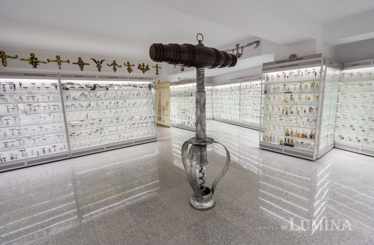 Un alt fel de muzeu al colecțiilor de artă 304723