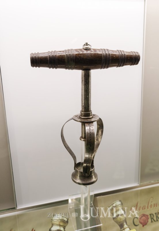 Un alt fel de muzeu al colecțiilor de artă 304725