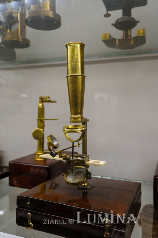 Un alt fel de muzeu al colecțiilor de artă 304729