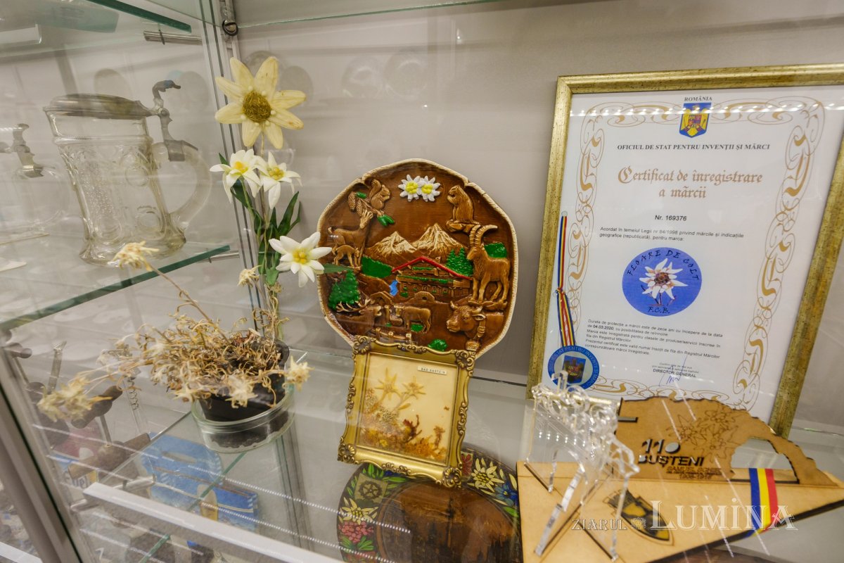 Un alt fel de muzeu al colecțiilor de artă 304733