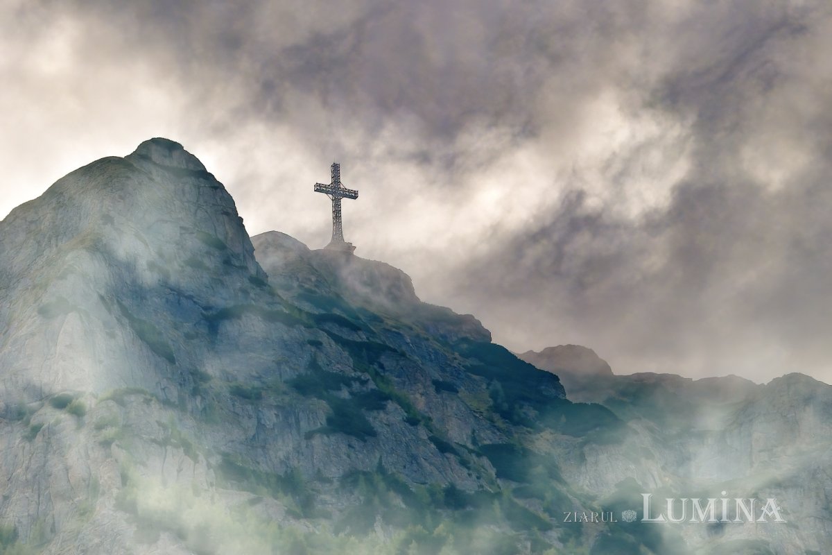 Sclipirile Luminii 305418