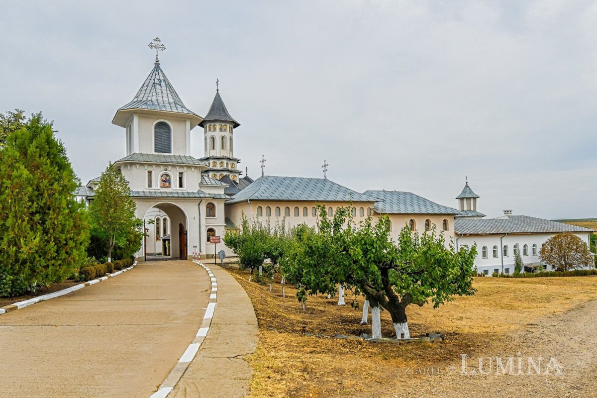 Sclipirile Luminii 305419