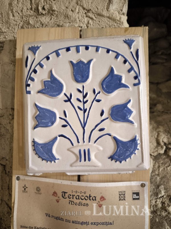 Călătorie în „țara sașilor” 306304