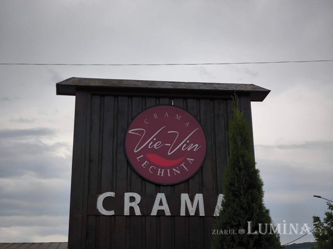 Călătorie în „țara sașilor” 306316