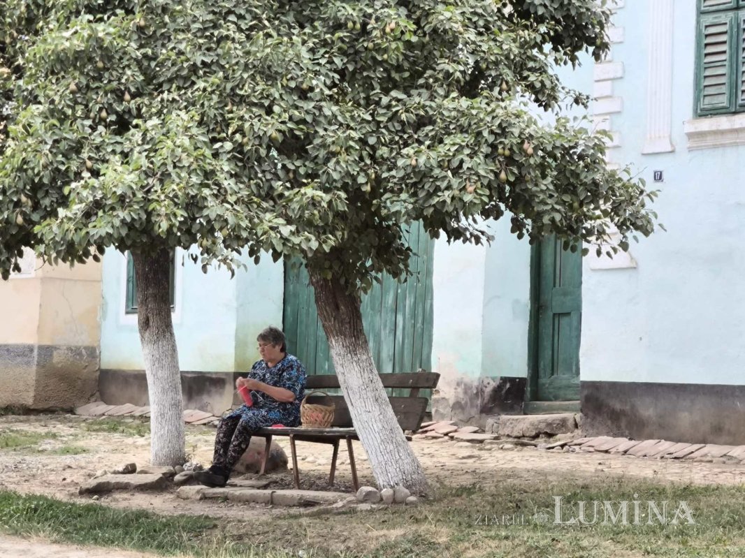 Călătorie în „țara sașilor” 306323