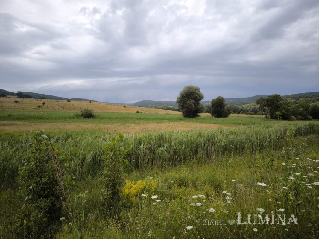 Călătorie în „țara sașilor” 306325