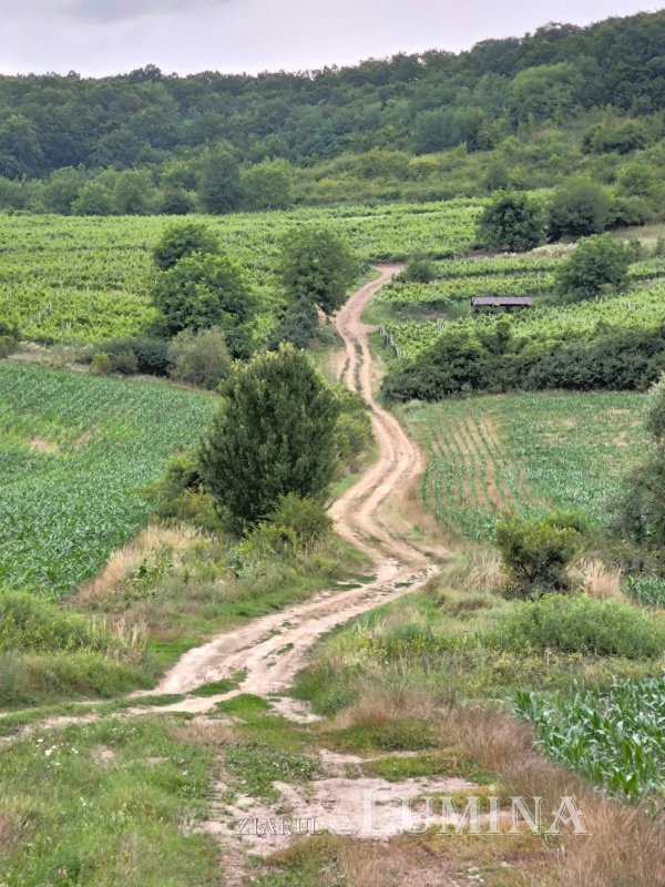 Călătorie în „țara sașilor” 306327