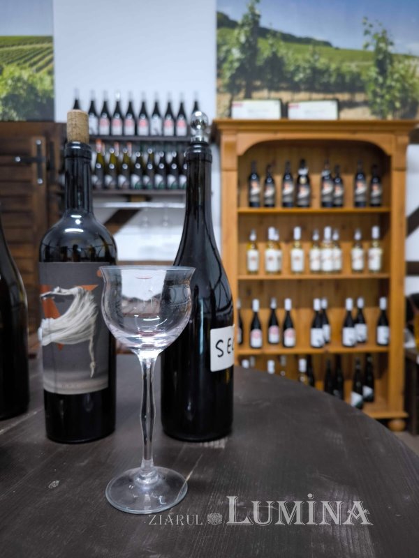 Călătorie în „țara sașilor” 306336