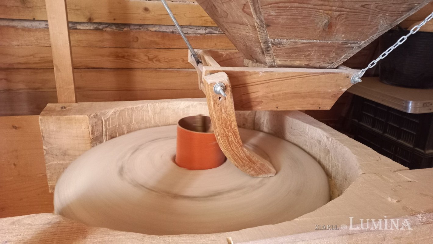 Rudăria, un loc unic în Europa 308435