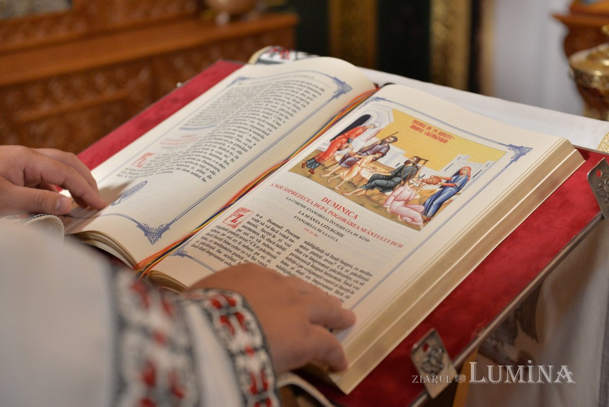 Omul liber și sănătos iartă răutatea vrăjmașilor 309841