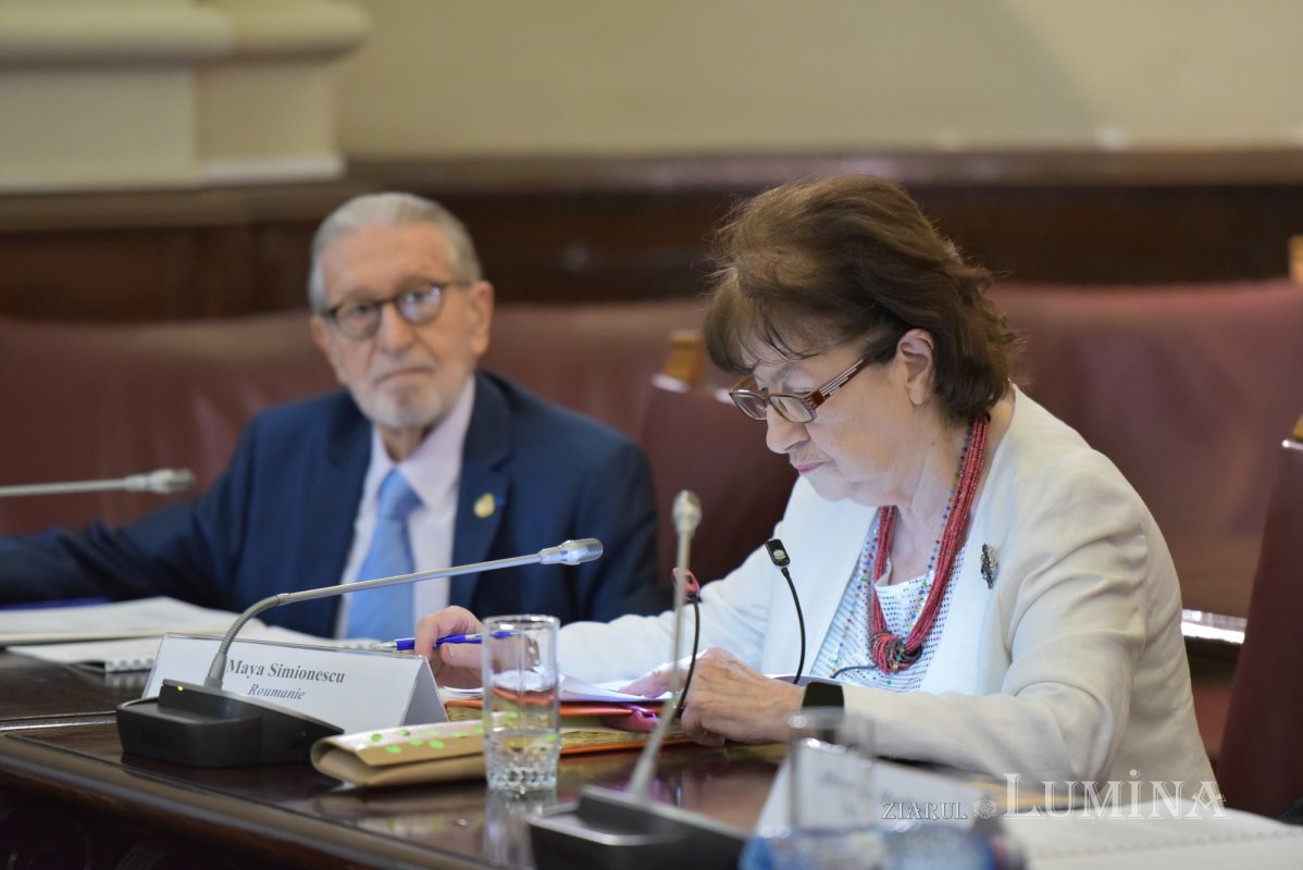 Reflecţii academice asupra extinderii şi identităţii Uniunii Europene 311036